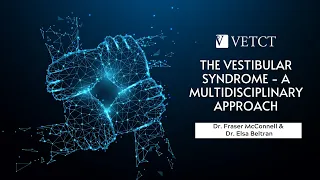 The vestibular syndrome - A multidisciplinary approach