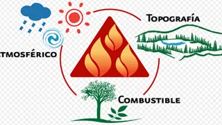 Triángulo del comportamiento del fuego.