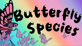 Types of Butterflies - Learning Butterfly Species for Children of All Ages, Toddlers and Babies Pt.2