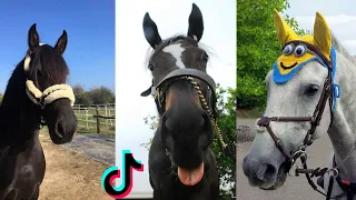 30 Minutes Of Reletable HORSE - NEW TikTok Compilation 2023 #4