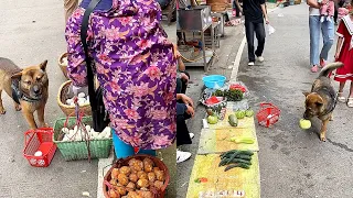 The egg seller wanted to cheat the highly intelligent dog out of his money😂