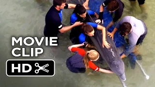 Dolphin Tale 2 Movie CLIP - We're Good Here Kyle (2014) - Morgan Freeman Dolphin Drama HD