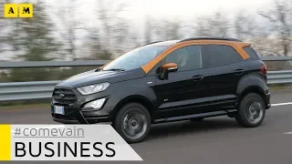 Ford Ecosport, Come va in... Business