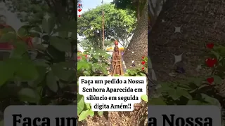 Nossa Senhora Aparecida, rogai por nós que recorremos a vós. #oração #nossasenhora #shorts