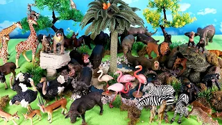 Waterhole for Safari Animal Figurines