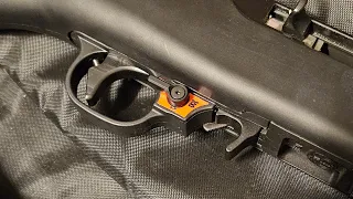Ruger 10/22 Franklin armory binary trigger