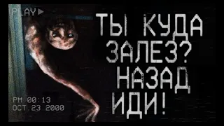 #1 Сборник видео по типу - "Свинтус придёт!". Рекомендуется смотреть ночью. #рек #meme