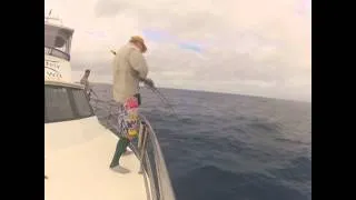 Insane Samsonfish Jigging Action, Perth