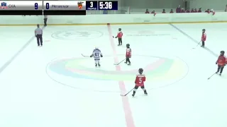 This is how Russian children play hockey. 1 vs. 5