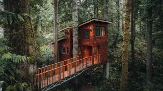 Staying in a Treehouse on Vancouver Island | East Sooke Treehouse