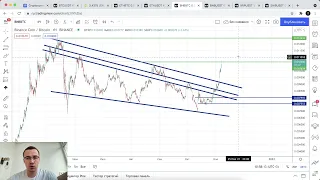 Прогноз цены на Биткоин и другие криптовалюты (7 ноября)