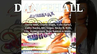 Dancehall Mix 2010, Summer Swagga Ft Terro 3000, Charly Black, Vybz Kartel, Cutty Ranks, Mr. Vegas