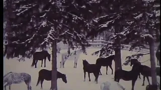 "Такое разное Уральское кино", 1993, реж. Павел Фаттахутдинов