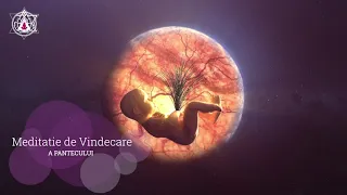 Meditatie de Vindecare a Pantecului