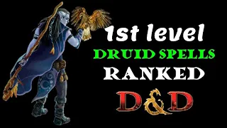 Druid spells ranked (1st level): D&D 5e