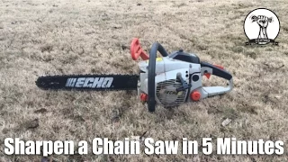 Easy Way To Sharpen A Chain Saw in 5 Minutes