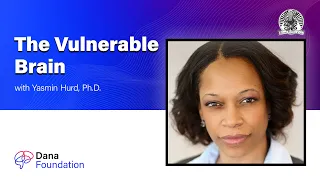 The Vulnerable Brain: Pathways to and from Addiction with Yasmin Hurd, Ph.D.