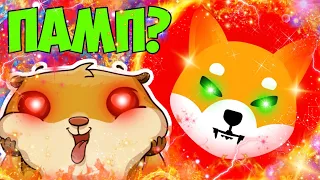 SHIB ЭТО НАЧАЛО! В ЭТОМ ГОДУ 1$? SHIBA INU РОСТ НАЧАЛСЯ! БИНАНС ВЫВЕЛ 6 ТРЛН ТОКЕНОВ НА КОШЕЛЁК!