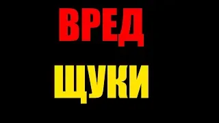 Польза и вред щуки