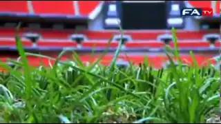 Desso GrassMaster hybrid grass at Wembley Stadium