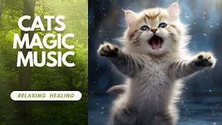 🐱✨ Whisker Whispers • Relaxing Ambient Stress Relief  Healing Cat Sounds • Relaxation Work Music
