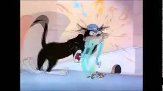 Tom and Jerry AMV-One Step Closer