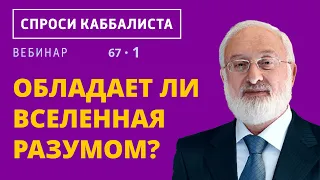 Обладает ли Вселенная разумом?