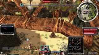 Guild Wars 2021 06 22 01 39 04 358 RA