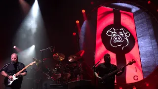 Aussie Floyd Live 2019 ⬘ 4K 🡆 Pigs (Three Different Ones) 🡄 Sept 7 - Houston, TX