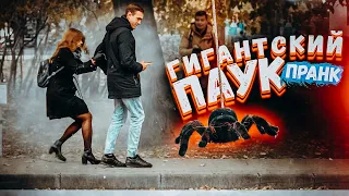 Гигантский паук напал на людей пранк / Реакция на паука в парке Вджобыватели Подстава