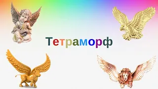 Тетраморф. От идола до Зодиака