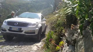 SSANGYONG Rexton W offroad