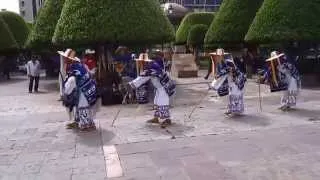 La danza de los viejitos, con la orquesta Flor de Dalia de Jaracuaro, Michoacán.