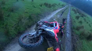 CRF300L - N.Wales TRF