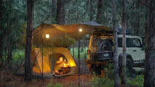 Coziest RAIN CAMPING in a Pine Forest [ SOLO Relaxing in a Tent and Tarp shelter, ASMR ]