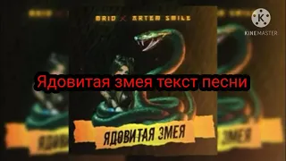 Текст песни(слова) MriD, Artem Smile - Ядовитая змея караоке