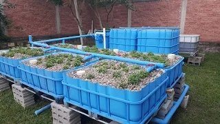 COMPLETE AQUAPONICS SET UP - Start to Finish