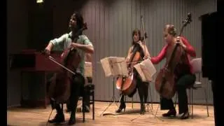 Haydn Cello Concerto C Major Version for Cello Quartett - III. Finale, Allegro Molto