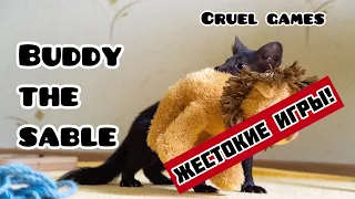 жестокие игры Соболя Бадди cruel games of Buddy the sable