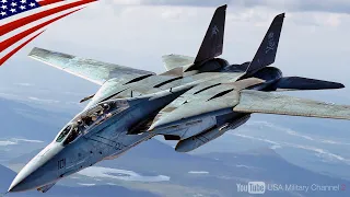 【F-14トムキャット】可変翼の世界一美しい戦闘機