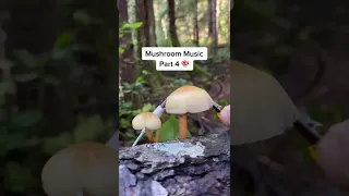 Modern Biology - Mushroom Music Pt 4 🍄✨🍄 myco transmissions #music #plants #shorts #synth #mushroom