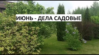 Июнь - дела садовые.