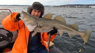 200 кг / Весенняя рыбалка / Баренцево море / 200 kg of cod for fishing / Barents Sea