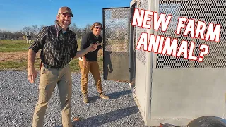 We Just Got a New Farm Animal! (You'll Never Guess)