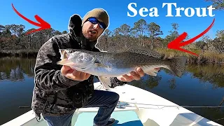 My FAVORITE Way to Catch SPECKLED TROUT (SPOTTED SEA TROUT)