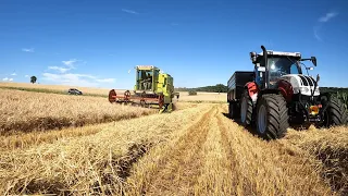 Farm Vlog #196 Meine NEUE Mulde | Erntestart 2022 | 1. Schnitt Heu | Claas Dominator 85