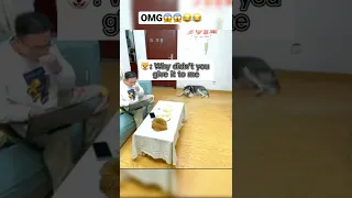 OMG so funny😱😱😂😂😂#shorts #memes #funny #tiktok #viral