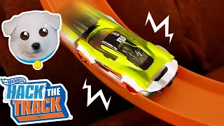 Mack Uses Hot Wheels Tracks for Extreme Fetch! 🐶 + More Kids Cartoons | Hot Wheels