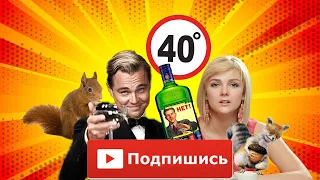 40 ГРАДУСОВ. Программа