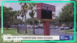 9th grader accused of stabbing 2 at Countryside High School had no disciplinary history, chief says